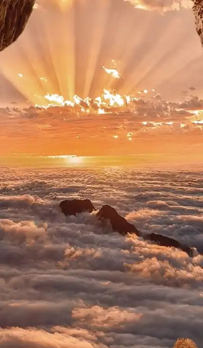 nature