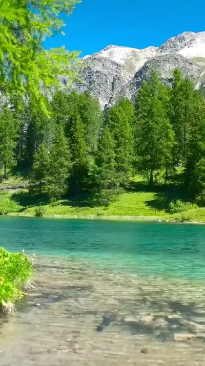 nature