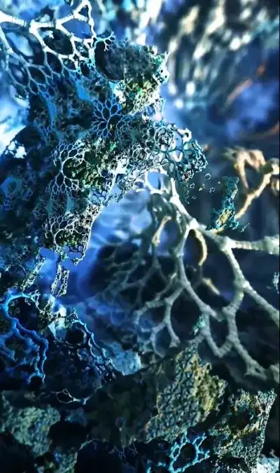 3d