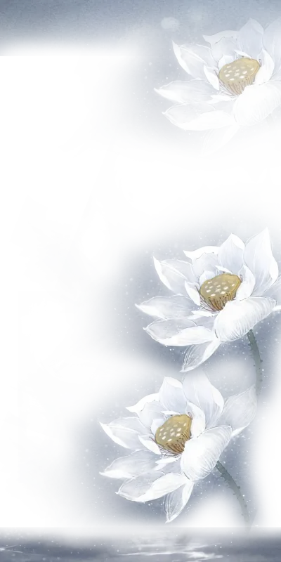 莲花
