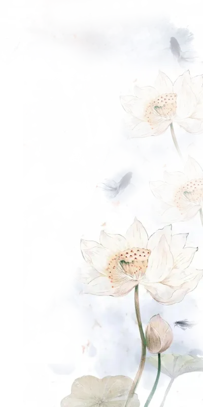 莲花