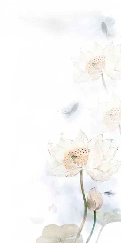 莲花