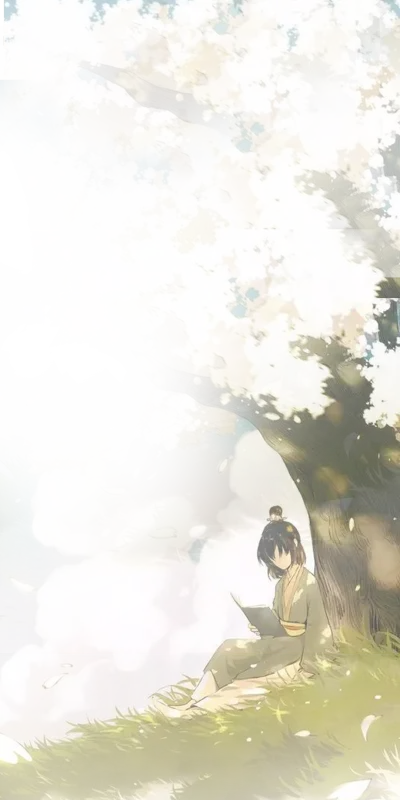 风景