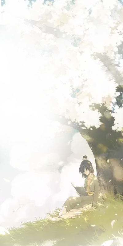 风景