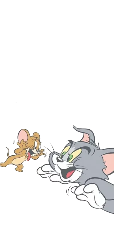 猫和老鼠