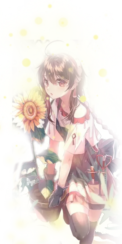 向日葵