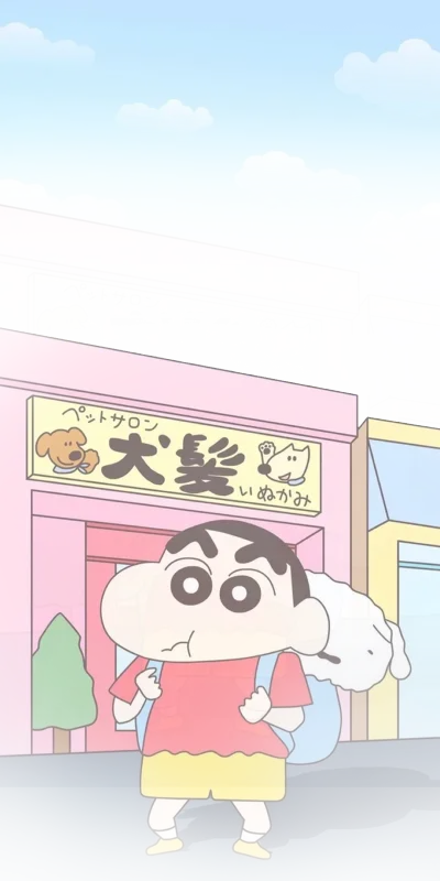 小新小白