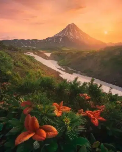 flower