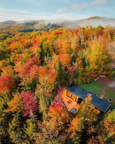 autumn