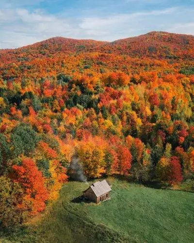 autumn