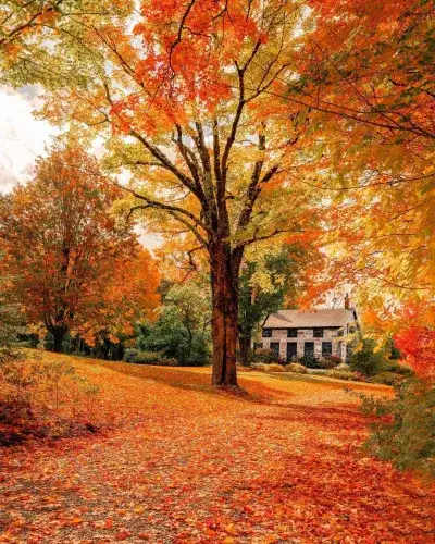 autumn