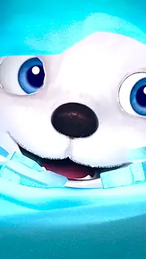 bear