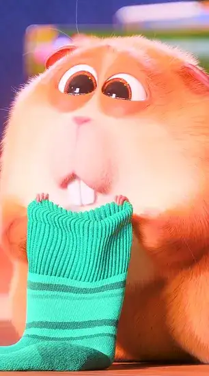 hamster