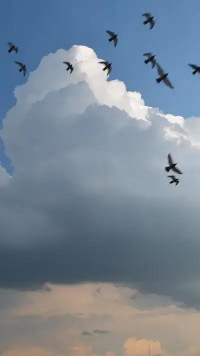 nature