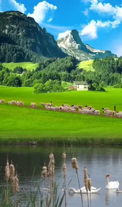 nature