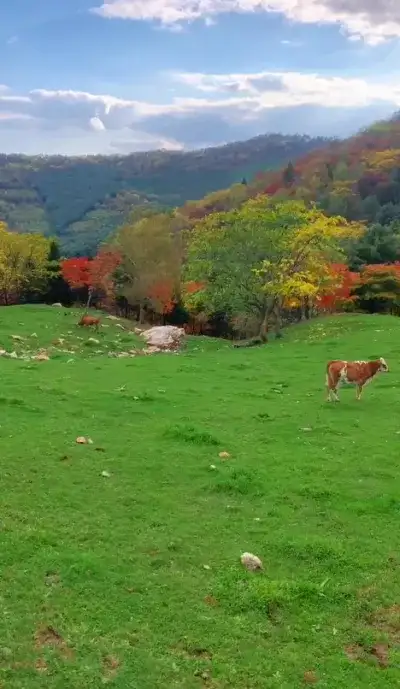 nature