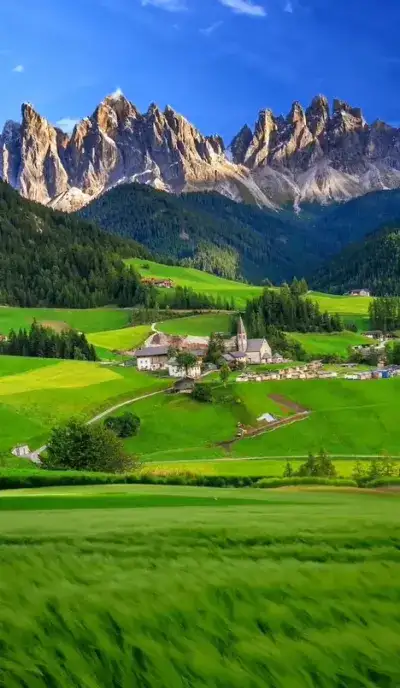 nature
