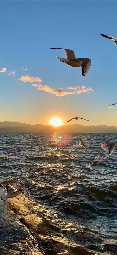 nature