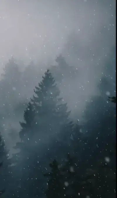 nature