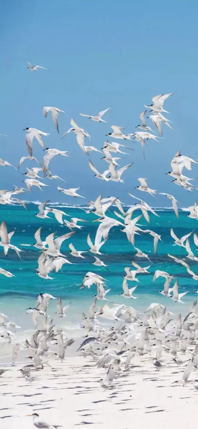 nature