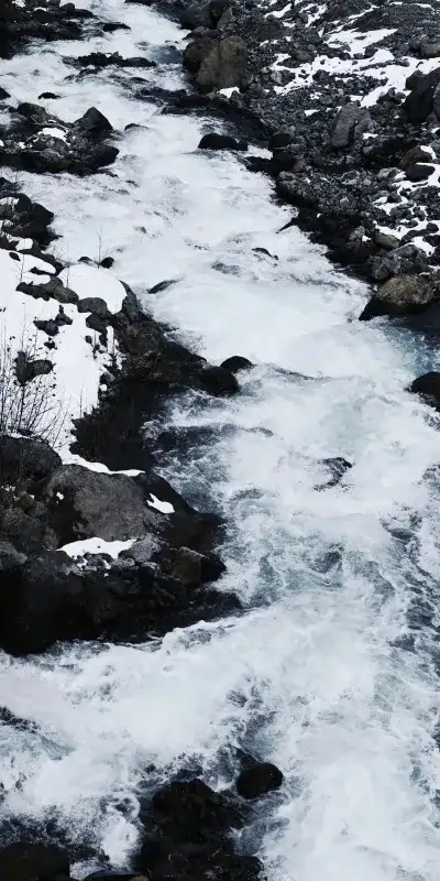 nature