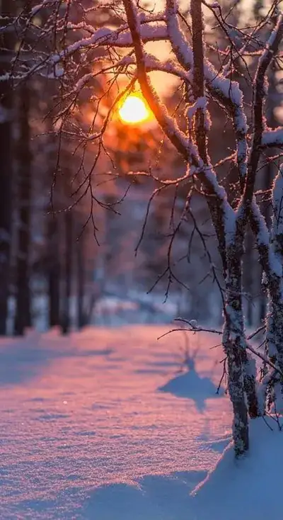 nature