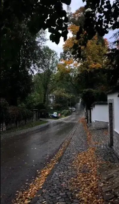 nature