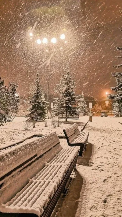 winter