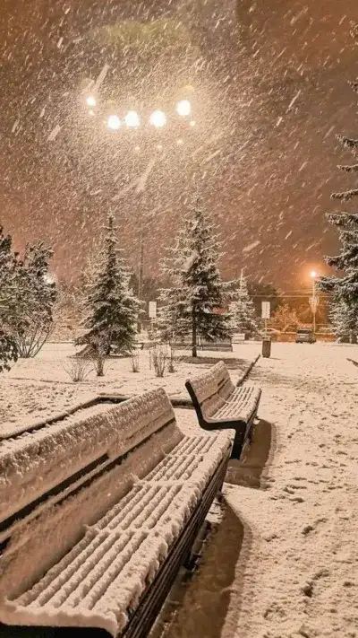 winter