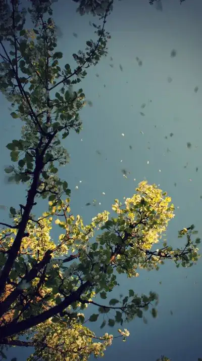 winter