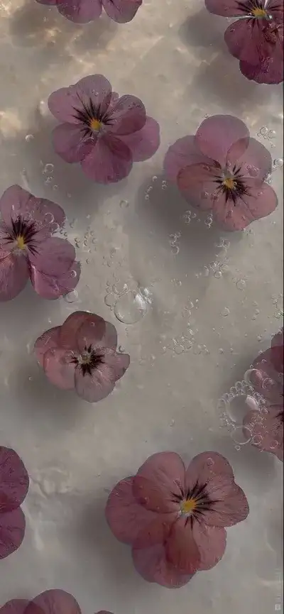   Flowers