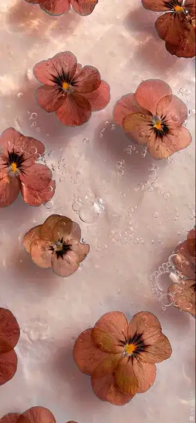   Flowers