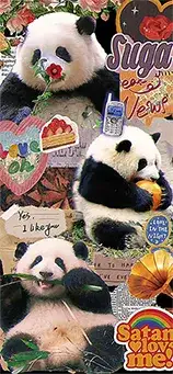 panda