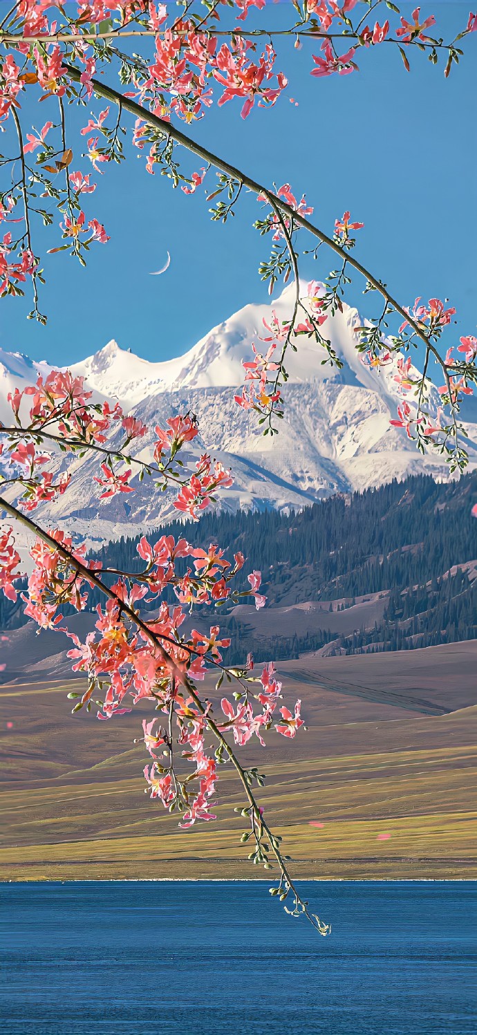 nature