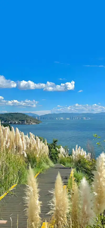 nature