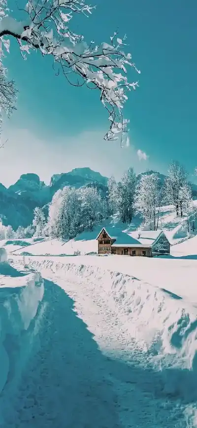 winter