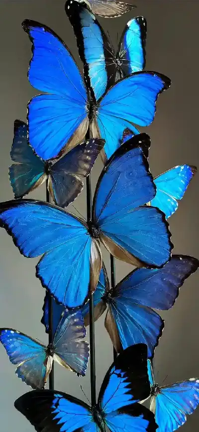cool