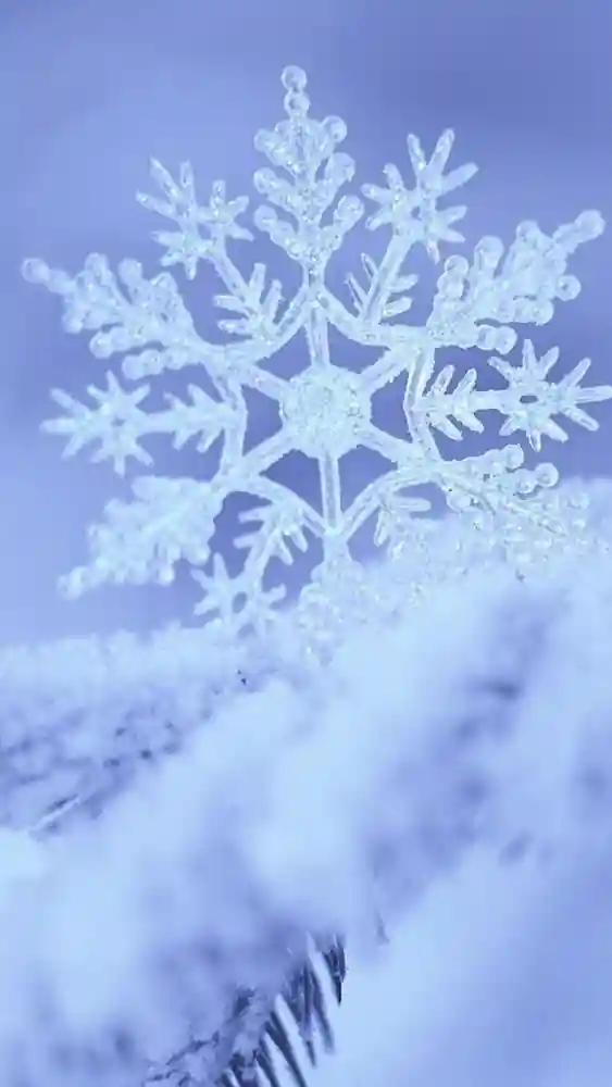 winter