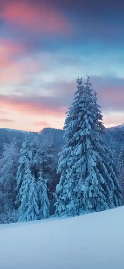 winter