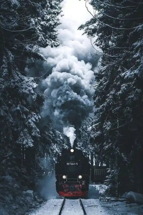 Movies