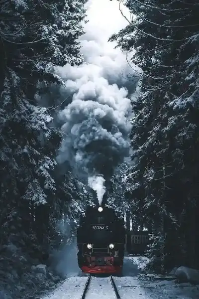 Movies