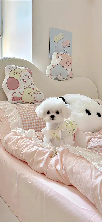 animal