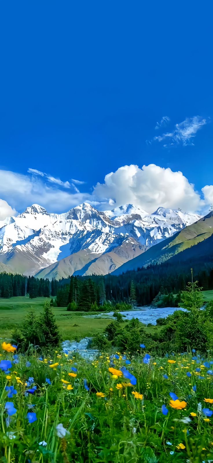 nature