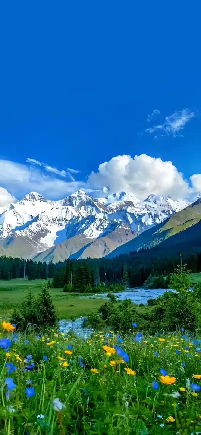 nature