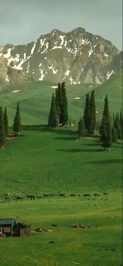 nature
