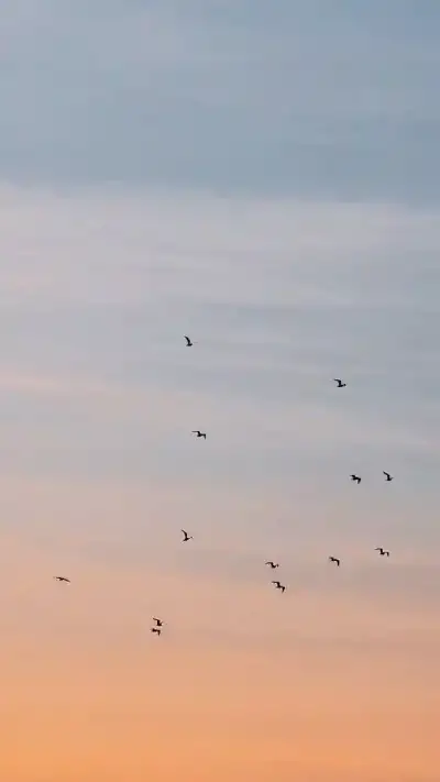 nature