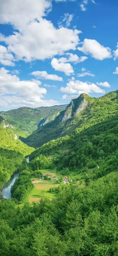 nature