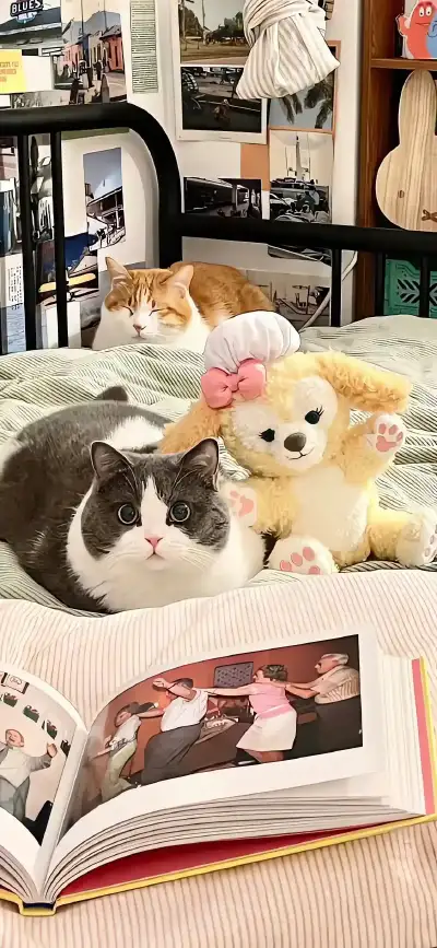 animal