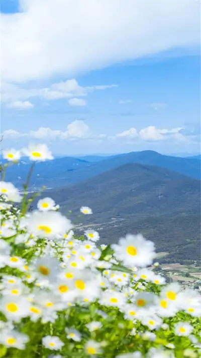 nature