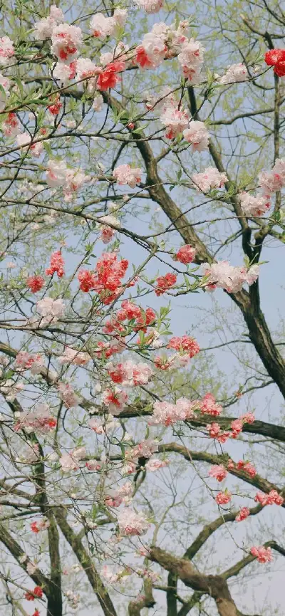nature